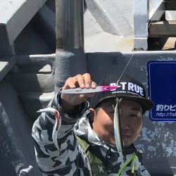 シーランチ 釣果