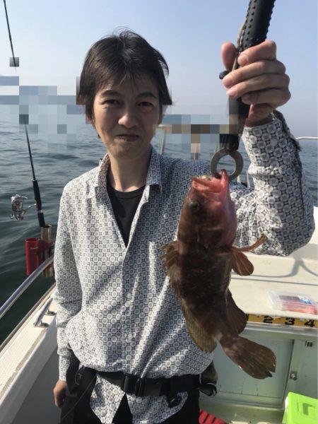 遊漁船メテオ 釣果