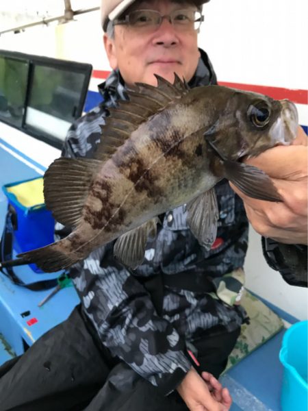 ヤザワ渡船 釣果