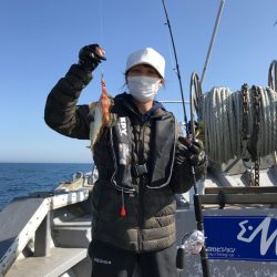 シーランチ 釣果