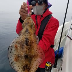 ソルトウォーターガイドフレンズ 釣果