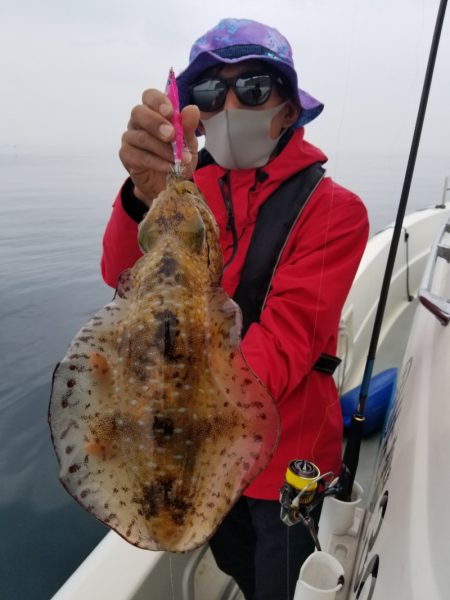 ソルトウォーターガイドフレンズ 釣果