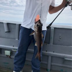 ＴＡＲＯＭＡＲＵ 釣果