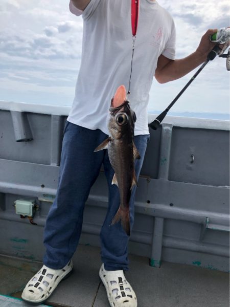 ＴＡＲＯＭＡＲＵ 釣果