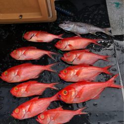 ＴＡＲＯＭＡＲＵ 釣果