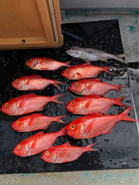 ＴＡＲＯＭＡＲＵ 釣果