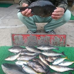 幕島丸 釣果