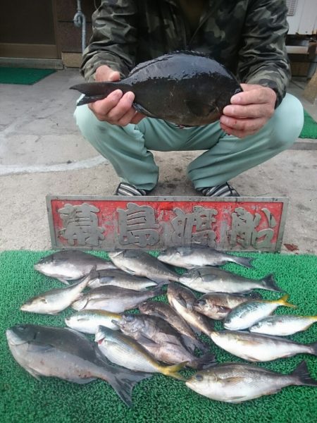幕島丸 釣果