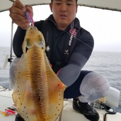 ソルトウォーターガイドフレンズ 釣果