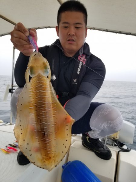 ソルトウォーターガイドフレンズ 釣果