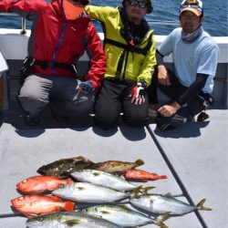 渡船屋たにぐち 釣果