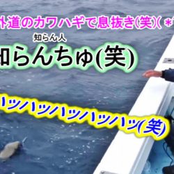 ＫＹＯＥＩⅢ 釣果