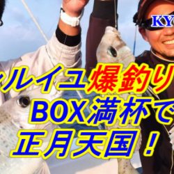 ＫＹＯＥＩⅢ 釣果