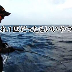 ＫＹＯＥＩⅢ 釣果