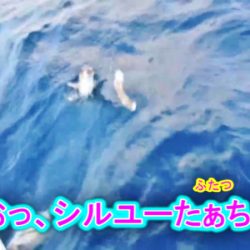 ＫＹＯＥＩⅢ 釣果