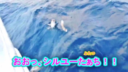 ＫＹＯＥＩⅢ 釣果