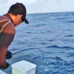 ＫＹＯＥＩⅢ 釣果