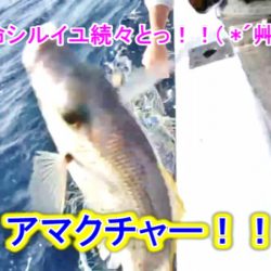 ＫＹＯＥＩⅢ 釣果