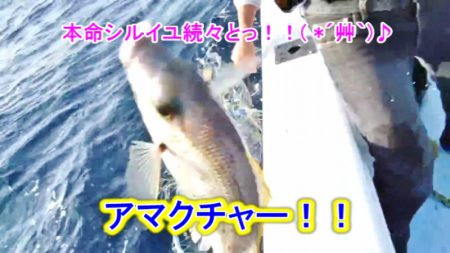 ＫＹＯＥＩⅢ 釣果