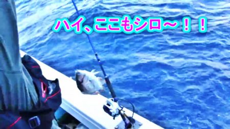 ＫＹＯＥＩⅢ 釣果