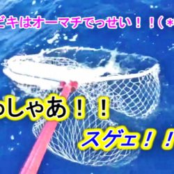 ＫＹＯＥＩⅢ 釣果