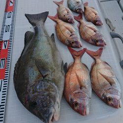 遊漁船 家入 釣果