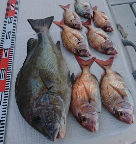 遊漁船 家入 釣果