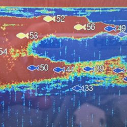 遊漁船 家入 釣果