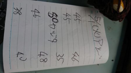 金沢八景鴨下丸 釣果