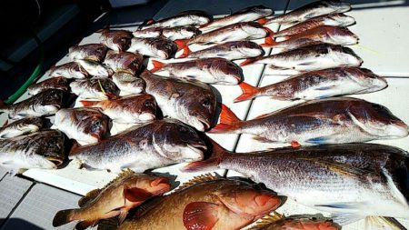 タイラバ遊漁船 ワンピース 釣果