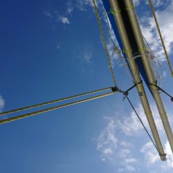 金沢八景鴨下丸 釣果