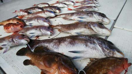 タイラバ遊漁船 ワンピース 釣果