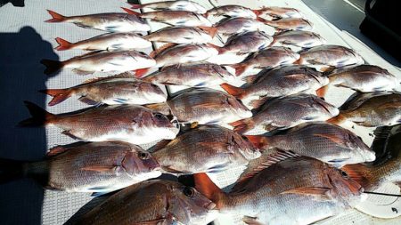 タイラバ遊漁船 ワンピース 釣果