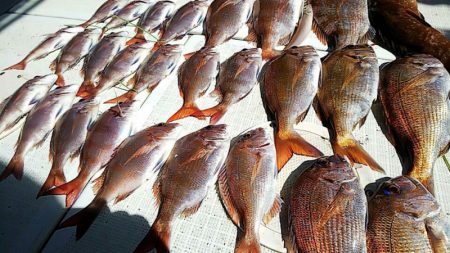 タイラバ遊漁船 ワンピース 釣果