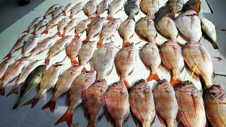 タイラバ遊漁船 ワンピース 釣果