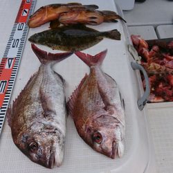 遊漁船 家入 釣果