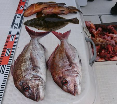 遊漁船 家入 釣果