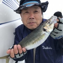 Soyamaru 釣果