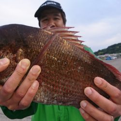 第三共栄丸 釣果