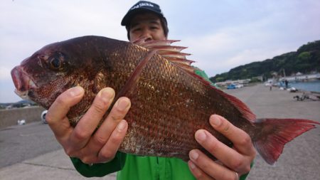 第三共栄丸 釣果