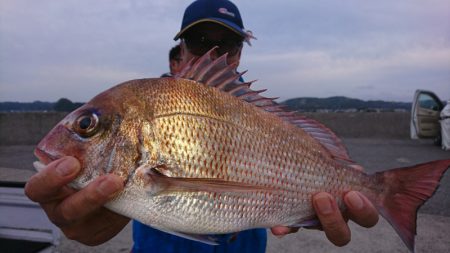 第三共栄丸 釣果