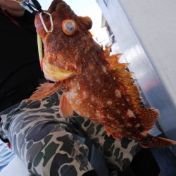 第二龍勢丸 釣果