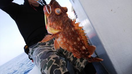 第二龍勢丸 釣果