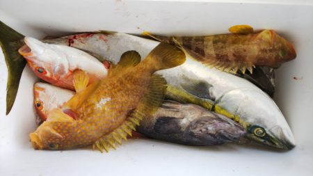 第二龍勢丸 釣果