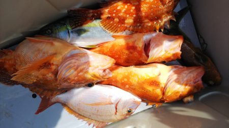 第二龍勢丸 釣果