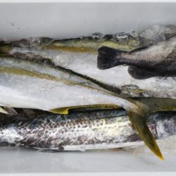 第二龍勢丸 釣果