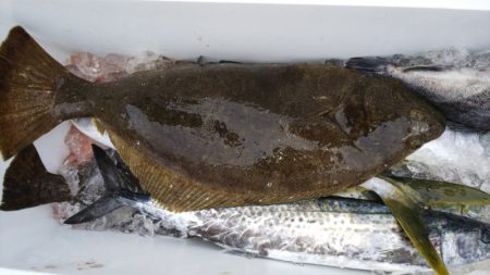 第二龍勢丸 釣果