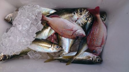 海龍丸（石川） 釣果