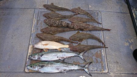 FISHING RISKY 釣果