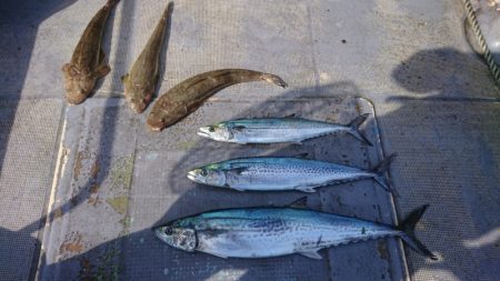 FISHING RISKY 釣果